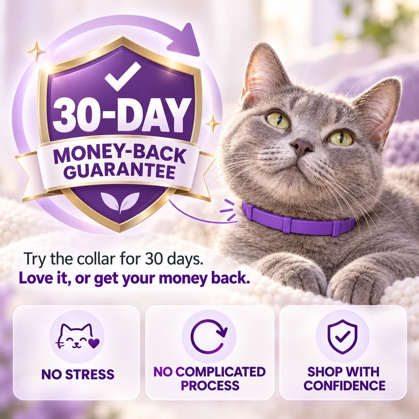 Calming Collar