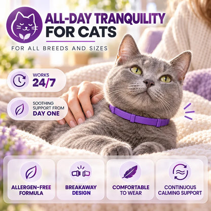 Calming Collar