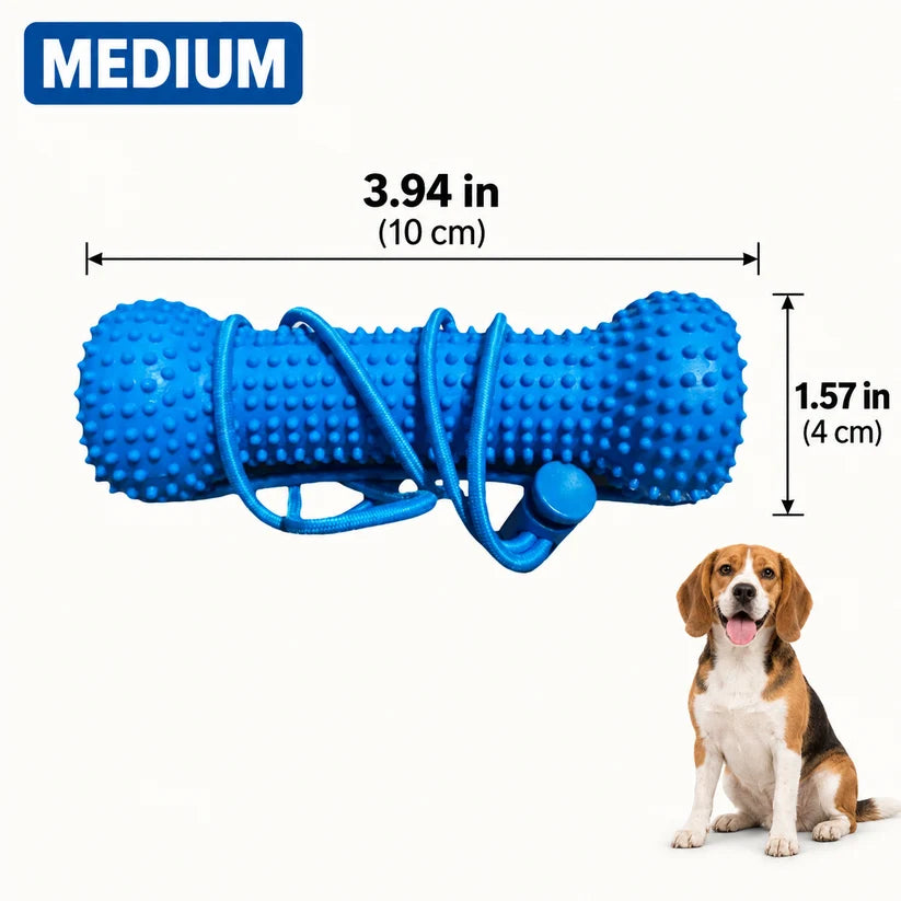 🐶Dog Brushing Aid Chew Support – Easy & Safe Teeth Cleaning Without the Struggle!