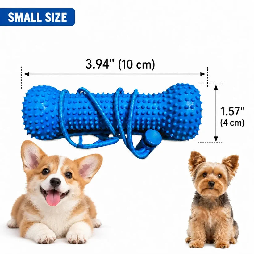 🐶Dog Brushing Aid Chew Support – Easy & Safe Teeth Cleaning Without the Struggle!