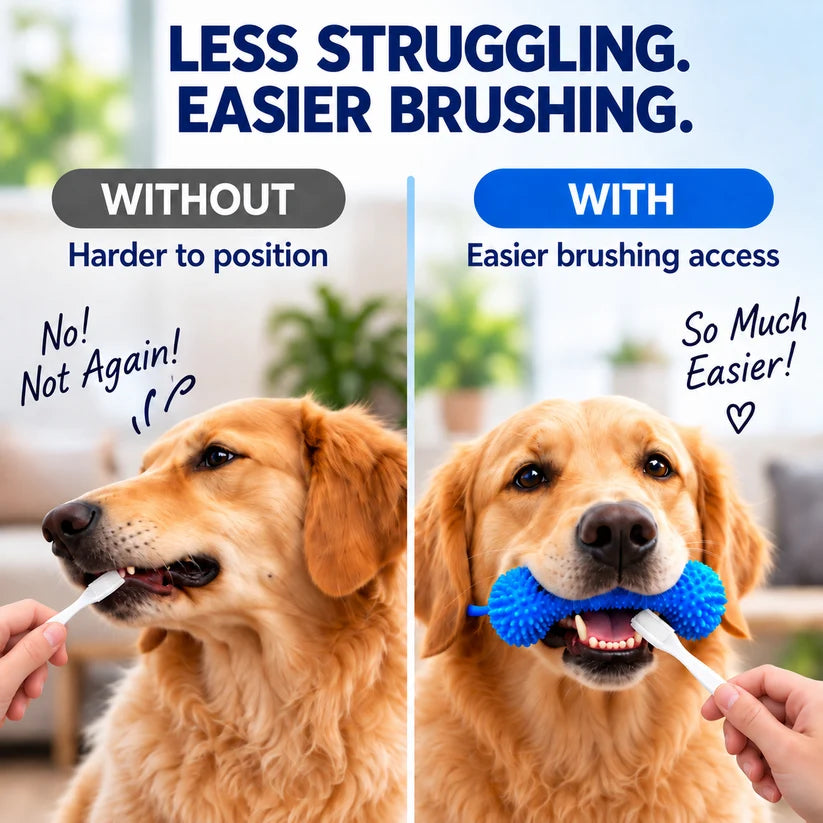 🐶Dog Brushing Aid Chew Support – Easy & Safe Teeth Cleaning Without the Struggle!