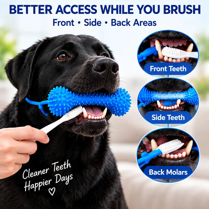 🐶Dog Brushing Aid Chew Support – Easy & Safe Teeth Cleaning Without the Struggle!