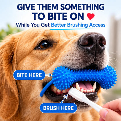 🐶Dog Brushing Aid Chew Support – Easy & Safe Teeth Cleaning Without the Struggle!