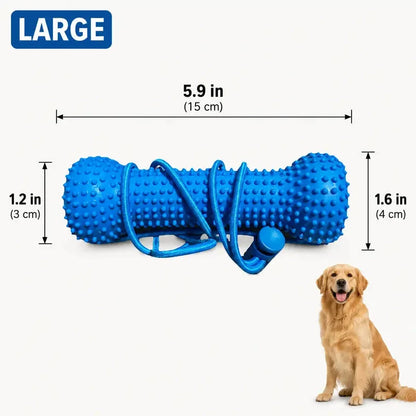 🐶Dog Brushing Aid Chew Support – Easy & Safe Teeth Cleaning Without the Struggle!