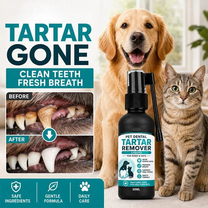 Cleaner Teeth. Fresher Breath. Happier Pets. 🐶🐱