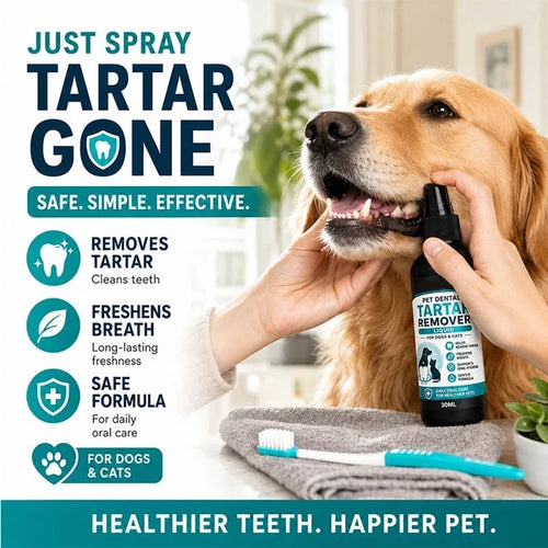 Cleaner Teeth. Fresher Breath. Happier Pets. 🐶🐱